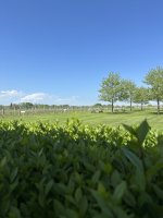 IMG_7812.jpeg