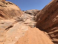 IMG_3614.jpeg