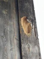 IMG_0678.jpeg