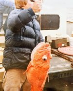 IMG20250429122632~3.jpg
