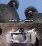 IMG_1708.jpeg