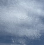 IMG_1401.jpeg