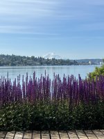 IMG_6340.jpeg