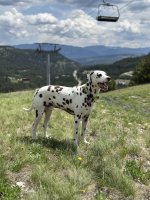 IMG_1172.jpeg