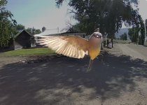 IMG_2405.jpeg