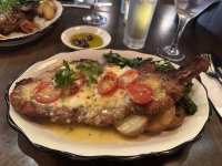 IMG_8498.jpeg