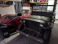 IMG_2037.jpeg