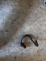 IMG_2285.jpeg