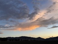 IMG_3349.jpeg