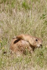 IMG_7097.jpeg