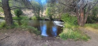 20250808_145954.jpg