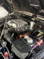 IMG_8173.jpeg