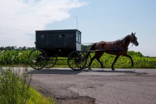 amish.jpeg