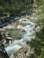 IMG_2270.jpeg