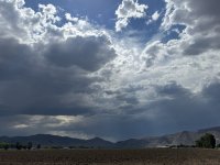 IMG_3694.jpeg