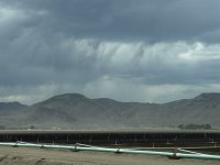 IMG_2323.jpeg