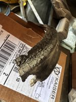 IMG_2520.jpeg