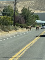 IMG_2670.jpeg