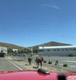IMG_2673.jpeg