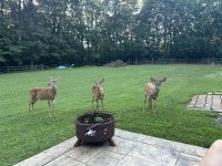 IMG_0176.jpeg
