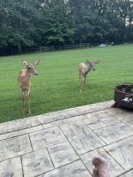 IMG_0180.jpeg
