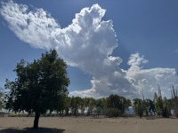 IMG_4523.jpeg