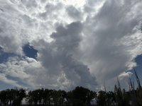 IMG_4525.jpeg