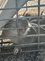 IMG_1654.jpeg