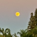 IMG_2749.jpeg