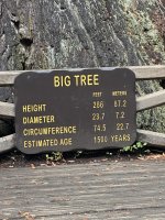 IMG_0870.jpeg