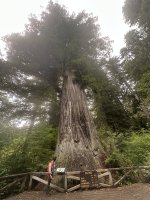 IMG_0871.jpeg