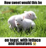 IMG_2812.jpeg
