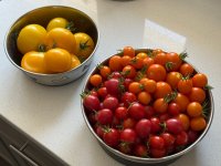 IMG_3505.jpeg