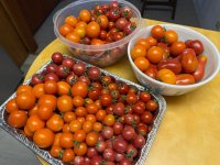 IMG_3506.jpeg