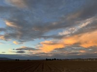IMG_4787.jpeg