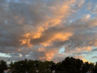 IMG_4793.jpeg
