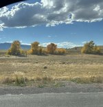 IMG_0896.jpeg