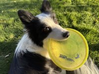 IMG_4916.jpeg