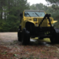 YellowYj517