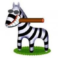 madzebra