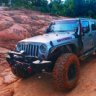 Silverbackjku16